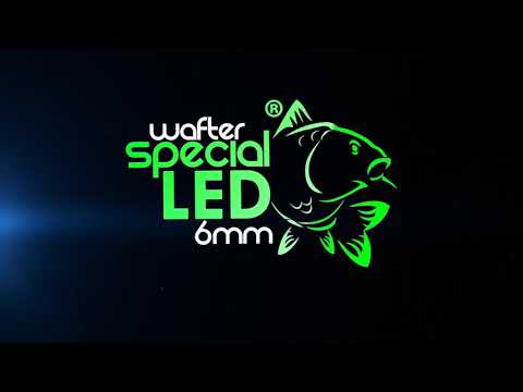 Wafter feeder Special LED Mg Carp