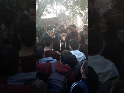 Freestyle ITSM Snake Neozis