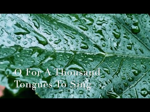 250 SDA Hymn -  O For A Thousand Tongues To Sing  (Singing w/ Lyrics)