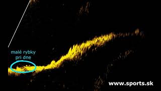 LOWRANCE sonda ActiveTarget™2 modul +sonda + držiak