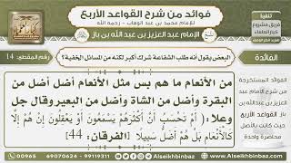 صورة 14-البعض يقول أنه طلب الشفاعة شرك أكبر لكنه من المسائل الخفية - فوائد من شرح القواعد الأربع