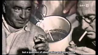 Who is Afraid of Wilhelm Reich.flv