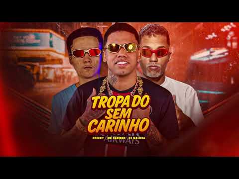 TROPA DO SEM CARINHO MC DANINHO CHUCKY DJ MALÍCIA m #passinhodobrega #tiktok #bregafunk 