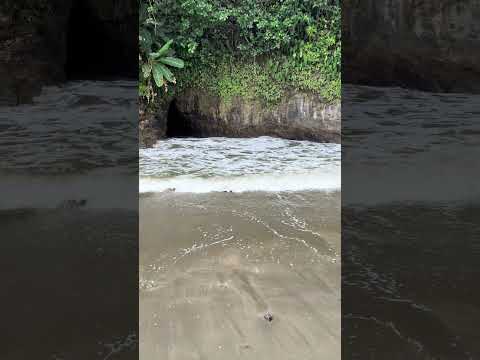 Costa Rica 🇨🇷 Playa ventanas en osa Puntarenas