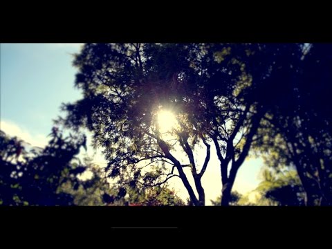 Life at Jivana Yoga Retreat