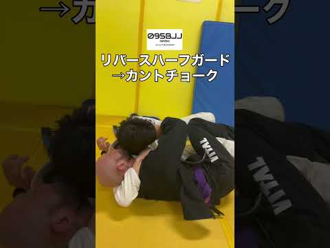 リバースハーフガード→カントチョーク　Reverse half guard → Canto choke