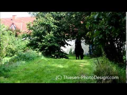 2014-08-23 Judith Zimmer