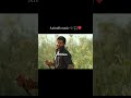 Devara Emotional BGM NTR Koratala Shiva Anirudh Musical