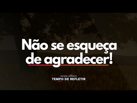 Não se esqueça de agradecer! - Tempo de Refletir 2677