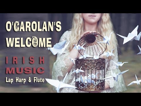 Irish Traditional Celtic Music | Turlough O'carolan on Lap Harp (Salterio)