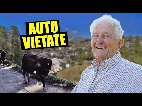 IL PAESE senza AUTO - thepillow