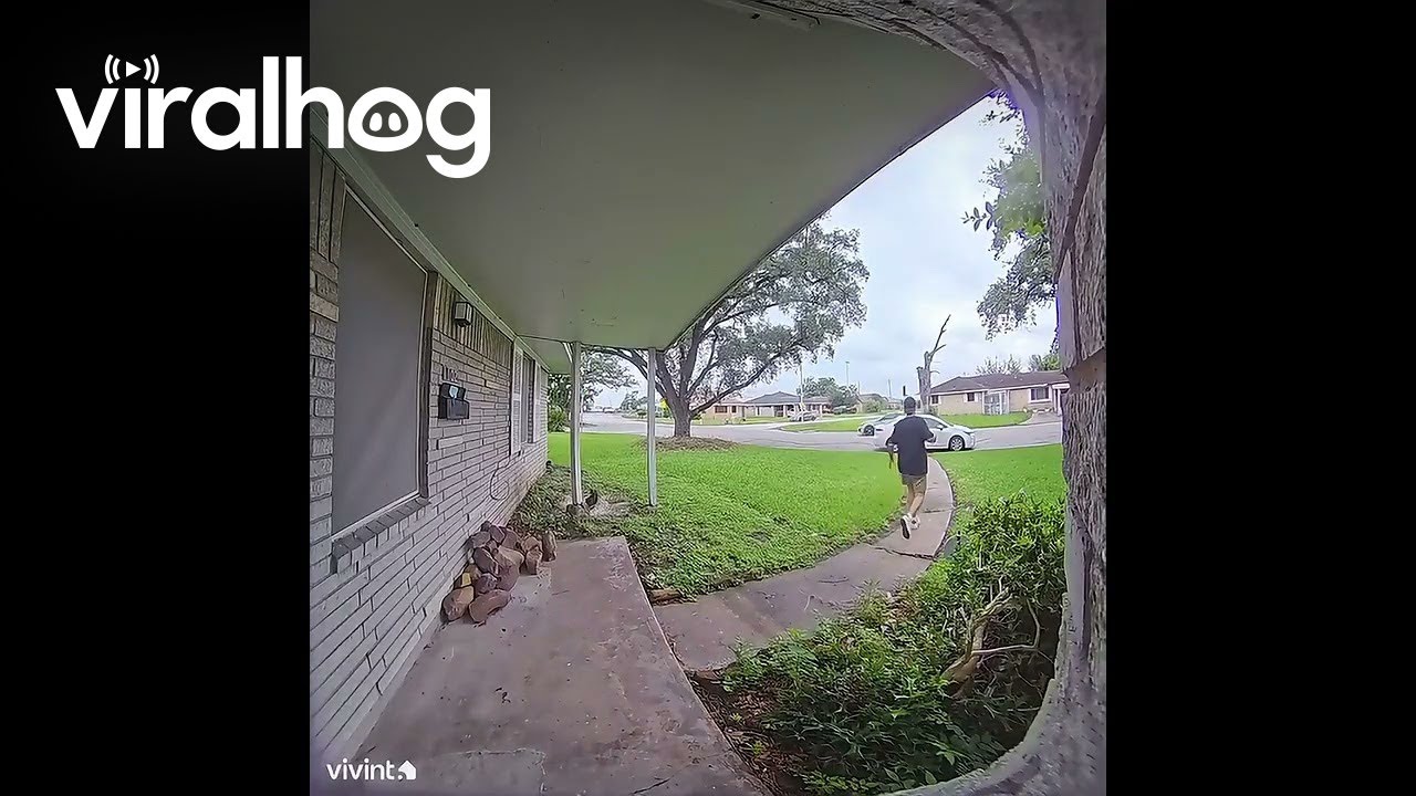 Instant Karma for Careless Delivery || ViralHog