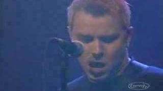 Standing All Alone (LIVE)