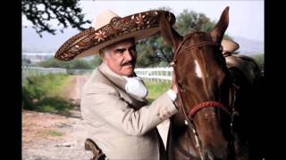 Caminemos   Vicente Fernandez