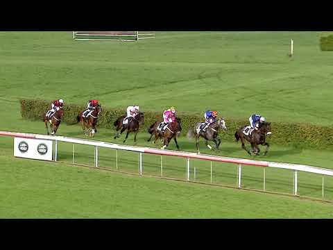 Dielsdorf/22.09.2019/Preis der Cross Freunde