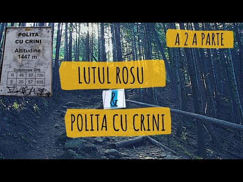 ⏸ A 2 PARTE Din TRASEUL Izvorul Muntelui spre Cabana Dochia prin Lutul Roșu pana la POLITA cu CRINI