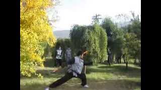 少林武术节迎宾式表演