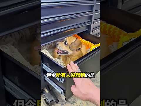 他的視頻讓所有人大吃一驚@fullwarp