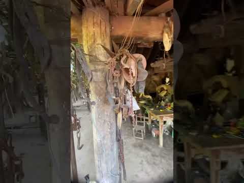 ✅ Así es la Vida en el Campo ❤️