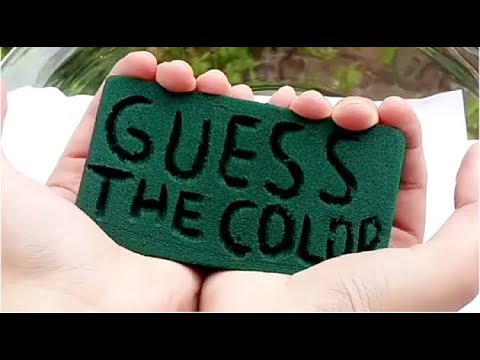 CRUSHING SOAKING FLORAL FOAM GUESS THE COLOR MOST SATISFYING VIDEO
