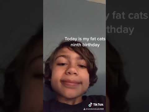 Fatcatnina