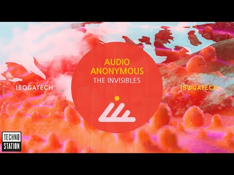 Audio Anonymous - The Invisibles