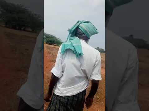  1 Acre Agricultural/Farm Land for Sale in Kariapatti, Madurai