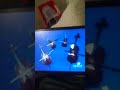Sesame Street Violin Viola Cello And Double Bass