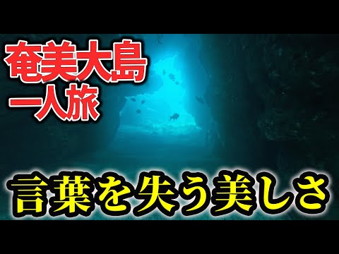 生きる感覚を見つめ直す奄美の旅｜高橋 一博｜一緒に一歩を踏み出す伴走ガイド