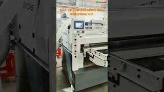 MÁY CHÀ NHÁM BĂNG CNC WOODMASTER