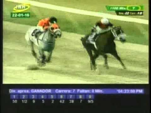 Resumen Viernes, 22 de Enero de 2016 -  Valencia