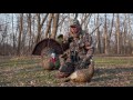 Turkey Decoy Strategies When To Use A Full Strut Tom Decoy