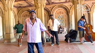 Cowboys to Girls（The Intruders）- Cover Story Acapella Soul, Central Park, NYC 【Street Music】