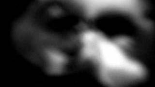 Neurosis - Distill (Watching The Swarm) [live visuals]