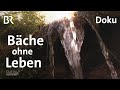 Bayerns Bächen geht die Luft aus - Artensterben im Wasser | Gut zu wissen | Doku | BR