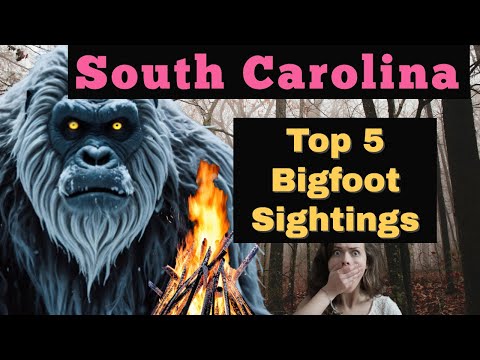 South Carolina Bigfoot Sightings - Top 5 ! Deep Swamps, Blue Ridge Mountains Hide Creepy Cryptids