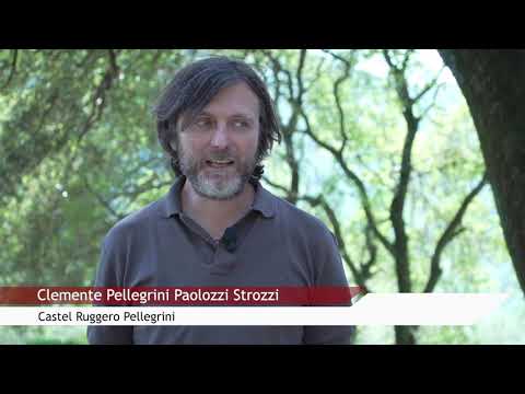 "Tutto fumo e niente arrosto" con Olio "Ruggente" DOP Chianti Classico