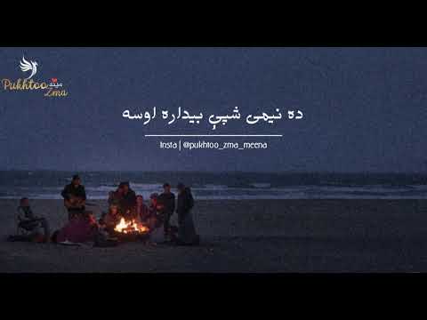 Afsar Afghan & Rashid Khan Rashid