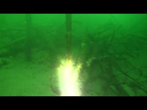 31.08.2010 Tauchen in Steckborn