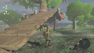 #3 ゼルダの伝説 ティアーズオブザキングダムを思いのままに遊ぶ。3