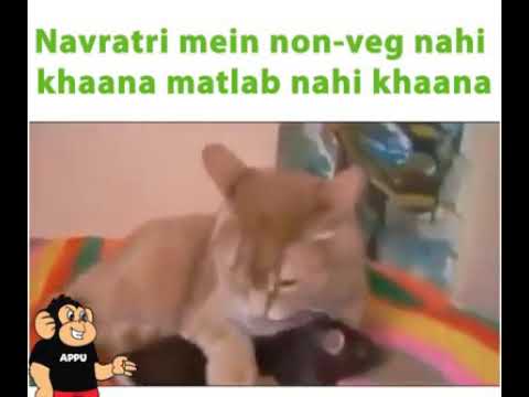 Non-veg nahi khana matlab  nahi khana😢😢😂😂