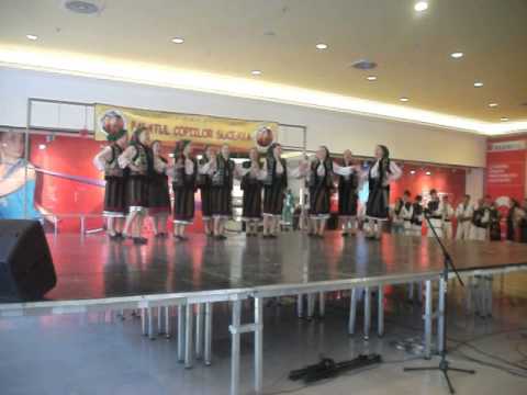 Ansamblul Flori din Bucovina Suceava