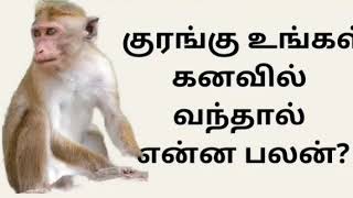குரங்கு  உங்கள் கனவில் வந்தால் என்ன பலன் | Monkey in dream meaning in tamil