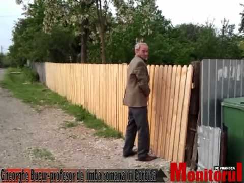 Profesor de limba romana in Corbita