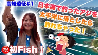 【高知】豆アジでロックフィッシュオオモンハタ【ぶっこみ釣り】