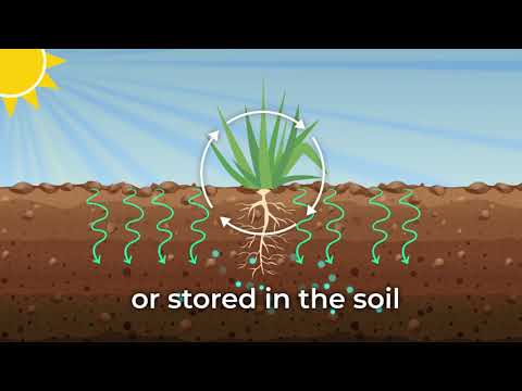 How to increase soil carbon