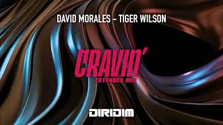 David Morales