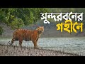 সুন্দরবনের গহীনে যাওয়ার গল্প World Largest Mang