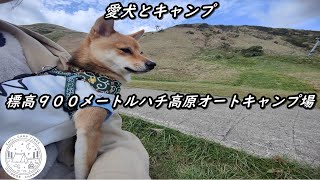 [家族キャンプ]愛犬とキャンプ　標高９００メートルハチ高原オートキャンプ場