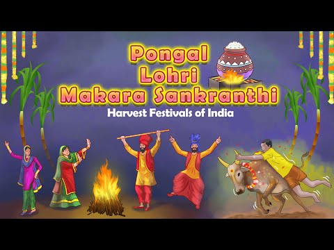 Pongal | Lohri | Makar Sankranthi | Harvest Festivals of India | Raa Raa| | Illustrated kids stories